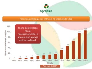 Pelo menos 108 espécies entraram no Brasil desde 1890 
O ano de detecção 
não é, 
necessariamente, o 
ano em que a praga 
entrou no Brasil. 
 