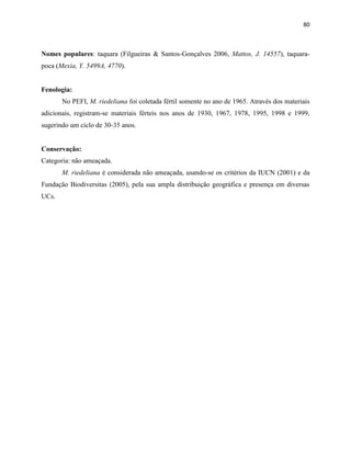 80
Nomes populares: taquara (Filgueiras & Santos-Gonçalves 2006, Mattos, J. 14557), taquara-
poca (Mexia, Y. 5499A, 4770).
Fenologia:
No PEFI, M. riedeliana foi coletada fértil somente no ano de 1965. Através dos materiais
adicionais, registram-se materiais férteis nos anos de 1930, 1967, 1978, 1995, 1998 e 1999,
sugerindo um ciclo de 30-35 anos.
Conservação:
Categoria: não ameaçada.
M. riedeliana é considerada não ameaçada, usando-se os critérios da IUCN (2001) e da
Fundação Biodiversitas (2005), pela sua ampla distribuição geográfica e presença em diversas
UCs.
 