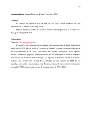 89
Nomes populares: taquara (Filgueiras & Santos-Gonçalves 2006).
Fenologia:
M. scandens foi registrada fértil nos anos de 1941, 1972 e 1974, sugerindo um ciclo
reprodutivo de 31-33 anos (Sendulsky 1995).
Segundo Sendulsky (1995), M. scandens floriu na mesma época que M. skvortzovii no
PEFI, por volta de 1973-1974.
Conservação:
Categoria: Criticamente ameaçada.
M. scandens não consta da lista da flora de espécies ameaçadas do Brasil da Fundação
Biodiversitas (2005). Porém, no Livro Vermelho das Espécies Vegetais Ameaçadas do Estado de
São Paulo (Mamede et al. 2007), está inserida na categoria “vulnerável”, pelos seguintes
critérios: distribuição geográfica restrita em no máximo três municípios do Estado e ocorrência
desconhecida em Unidades de Conservação. Os registros de herbários atestam a ocorrência
exclusiva em somente uma Unidade de Conservação, ou seja, somente no PEFI, na sua
localidade tipo, onde é relativamente rara. Portanto, trata-se de uma espécie “criticamente
ameaçada” (CR B1a) de e tinção, de acordo com os critérios da IUCN (2001).
 