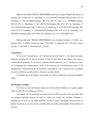 95
Material examinado: BRASIL, SÃO PAULO, São Paulo, Parque Estadual das Fontes do
Ipiranga, IBt, 17-XII-1973, fl., Sendulsky, T. 1321 (SP169753-Parátipo); IBt, 23-XII-1973, fl.,
Sendulsky, T. 1324 (SP166802-Parátipo); IBt, 21-X-1941, fl., Gehrt, A. s.n. (SP46009-Parátipo);
IBt,7-II-1974, fl., Sendulsky, T. 1341 (SP174478-Parátipo); IBt, 20-X-1973, fl., Senduslky, T.
1315 (SP166798-Parátipo); IBt, 17-XII-1973, fl., Sendulsky, T. 1322 (SP166795-Parátipo); IBt,
6-XII-1973, fl., Sendulsky, T. 1318 (SP166796-Parátipo); IBt, 10-X-1973, fl., Sendulsky, 1314
(SP166801-Parátipo); IBt, 14-IX-1999, veg., Sarahyba, L.S. et al. 1034 (PMSP, SP)
Material adicional: BRASIL; SÃO PAULO, Assis, Estação Ecológica, 1-X-2004, veg.,
Rossato, D.R. 12 (SPSF); Caucaia do Alto, 27-XI-2005, fl., Shirasuna, R.T. 124 (SP); Caucaia
do Alto, 11-XII-2005, fl., Shirasuna, R.T. 129 (SP).
Comentários:
M. skvortzovii assemelha-se a M. riedeliana pelo porte robusto c. 12m altura com ápice
arqueado, presença de um tufo de tricomas na base da face abaxial das lâminas dos ramos e
sinflorescência pectinada. M. skvortzovii apresenta 50-200 ramos por nó, 5-7 lâminas por ramo,
16-18 espiguetas por sinflorescência versus 13-70 ramos por nó, 4-16 lâminas por ramo, 31-42
espiguetas por sinflorescência em M. riedeliana. Assemelha-se a M. scandens por ter os entrenós
do colmo medulosos, quando jovens, e fistulosos, quando adultos.
O material tipo desta espécie foi baseado em coletas realizadas no parque (Sendulsky
1995).
Distribuição e ecologia:
M. skvortzovii tem distribuição conhecida no bioma Mata Atlântica, nas regiões sudeste
(SP) e sul (PR, RS, SC) (Shirasuna 2011b).
Esta espécie não foi localizada em nenhuma área do PEFI, durante a fase de coletas. Não
há nenhuma indicação precisa do local de coleta nos rótulos das exsicatas. Portanto, o
mapeamento foi feito em um ponto aleatório. Devido à recente reprodução, provavelmente as
plantas encontram-se em fase jovem, inviabilizando sua correta identificação. Possui hábito em
touceira.
 