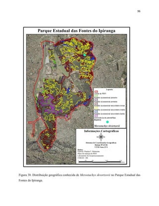 96
Figura 38. Distribuição geográfica conhecida de Merostachys skvortzovii no Parque Estadual das
Fontes do Ipiranga.
 
