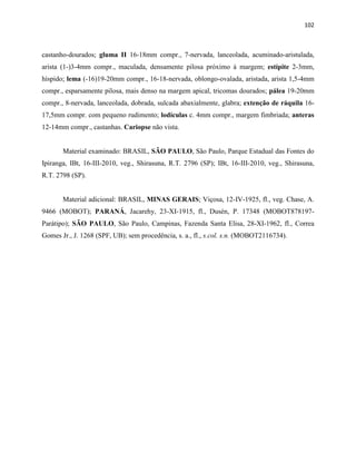 102
castanho-dourados; gluma II 16-18mm compr., 7-nervada, lanceolada, acuminado-aristulada,
arista (1-)3-4mm compr., maculada, densamente pilosa próximo à margem; estípite 2-3mm,
híspido; lema (-16)19-20mm compr., 16-18-nervada, oblongo-ovalada, aristada, arista 1,5-4mm
compr., esparsamente pilosa, mais denso na margem apical, tricomas dourados; pálea 19-20mm
compr., 8-nervada, lanceolada, dobrada, sulcada abaxialmente, glabra; extenção de ráquila 16-
17,5mm compr. com pequeno rudimento; lodículas c. 4mm compr., margem fimbriada; anteras
12-14mm compr., castanhas. Cariopse não vista.
Material examinado: BRASIL, SÃO PAULO, São Paulo, Parque Estadual das Fontes do
Ipiranga, IBt, 16-III-2010, veg., Shirasuna, R.T. 2796 (SP); IBt, 16-III-2010, veg., Shirasuna,
R.T. 2798 (SP).
Material adicional: BRASIL, MINAS GERAIS; Viçosa, 12-IV-1925, fl., veg. Chase, A.
9466 (MOBOT); PARANÁ, Jacarehy, 23-XI-1915, fl., Dusén, P. 17348 (MOBOT878197-
Parátipo); SÃO PAULO, São Paulo, Campinas, Fazenda Santa Elisa, 28-XI-1962, fl., Correa
Gomes Jr., J. 1268 (SPF, UB); sem procedência, s. a., fl., s.col. s.n. (MOBOT2116734).
 