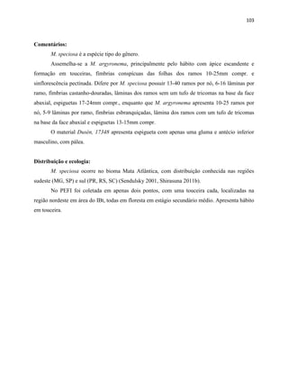 103
Comentários:
M. speciosa é a espécie tipo do gênero.
Assemelha-se a M. argyronema, principalmente pelo hábito com ápice escandente e
formação em touceiras, fímbrias conspícuas das folhas dos ramos 10-25mm compr. e
sinflorescência pectinada. Difere por M. speciosa possuir 13-40 ramos por nó, 6-16 lâminas por
ramo, fímbrias castanho-douradas, lâminas dos ramos sem um tufo de tricomas na base da face
abaxial, espiguetas 17-24mm compr., enquanto que M. argyronema apresenta 10-25 ramos por
nó, 5-9 lâminas por ramo, fímbrias esbranquiçadas, lâmina dos ramos com um tufo de tricomas
na base da face abaxial e espiguetas 13-15mm compr.
O material Dusén, 17348 apresenta espigueta com apenas uma gluma e antécio inferior
masculino, com pálea.
Distribuição e ecologia:
M. speciosa ocorre no bioma Mata Atlântica, com distribuição conhecida nas regiões
sudeste (MG, SP) e sul (PR, RS, SC) (Sendulsky 2001, Shirasuna 2011b).
No PEFI foi coletada em apenas dois pontos, com uma touceira cada, localizadas na
região nordeste em área do IBt, todas em floresta em estágio secundário médio. Apresenta hábito
em touceira.
 