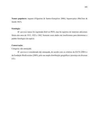 105
Nomes populares: taquara (Filgueiras & Santos-Gonçalves 2006), taquara-póca (McClure &
Smith 1967).
Fenologia:
M. speciosa nunca foi registrada fértil no PEFI, mas há registros de materiais adicionais
férteis dos anos de 1915, 1925 e 1962. Somente esses dados são insuficientes para determinar o
padrão fenológico da espécie.
Conservação:
Categoria: não ameaçada.
M. speciosa é considerada não ameaçada, de acordo com os critérios da IUCN (2001) e
da Fundação Biodiversitas (2005), pela sua ampla distribuição geográfica e presença em diversas
UCs.
 
