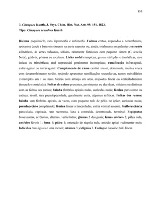110
3. Chusquea Kunth, J. Phys. Chim. Hist. Nat. Arts 95: 151. 1822.
Tipo: Chusquea scandens Kunth
Rizoma paquimorfo, raro leptomorfo e anfimorfo. Colmos eretos, arqueados a decumbentes,
apoiantes desde a base ou somente na parte superior ou, ainda, totalmente escandentes; entrenós
cilíndricos, às vezes sulcados, sólidos, raramente fistulosos com pequeno lúmen (C. tenella
Nees), glabros, pilosos ou escabros. Linha nodal conspícua, gemas múltiplas e dimórficas, raro
únicas ou trimórficas; anel supranodal geralmente inconspícuo; ramificação infravaginal,
extravaginal ou intravaginal. Complemento de ramo central maior, dominante, muitas vezes
com desenvolvimento tardio, podendo apresentar ramificações secundárias, ramos subsidiários
2-múltiplos em 1 ou mais fileiras com arranjo em arco, dispostos linear ou verticiladamente
(inserção constelada). Folhas do colmo presentes, persistentes ou decíduas, nitidamente distintas
com as folhas dos ramos; bainha fímbrias apicais nulas, aurículas nulas; lâmina persistente ou
caduca, séssil, rara pseudopeciolada, geralmente ereta, algumas reflexas. Folhas dos ramos:
bainha sem fímbrias apicais, às vezes, com pequeno tufo de pêlos no ápice, aurículas nulas;
pseudopecíolo complanado; lâmina linear a lanceoladas, estria ventral ausente. Sinflorescência
paniculada, capitada, raro racemosa, laxa a contraída, determinada, terminal. Espiguetas
bissexuadas, acrótonas, alternas, verticiladas; glumas 2 desiguais; lemas estéreis 2, pálea nula,
antécios férteis 1; lema 1; pálea 1; extenção de ráquila nula, antécio apical rudimentar nulo;
lodículas duas iguais e uma menor; estames 3; estigmas 2. Cariopse nucoide; hilo linear.
 