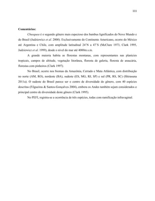 111
Comentários:
Chusquea é o segundo gênero mais especioso dos bambus lignificados do Novo Mundo e
do Brasil (Judziewicz et al. 2000). Exclusivamente do Continente Americano, ocorre do México
até Argentina e Chile, com amplitude latitudinal 24˚N a 47˚S (McClure 1973, Clark 1995,
Judziewicz et al. 1999), desde o nível do mar até 4000m.s.m.
A grande maioria habita as florestas montanas, com representantes nas planícies
tropicais, campos de altitude, vegetação litorânea, floresta de galeria, floresta de araucária,
florestas com pinheiros (Clark 1997).
No Brasil, ocorre nos biomas da Amazônia, Cerrado e Mata Atlântica, com distribuição
no norte (AM, RO), nordeste (BA), sudeste (ES, MG, RJ, SP) e sul (PR, RS, SC) (Shirasuna
2011a). O sudeste do Brasil parece ser o centro de diversidade do gênero, com 40 espécies
descritas (Filgueiras & Santos-Gonçalves 2004), embora os Andes também sejam considerados o
principal centro de diversidade deste gênero (Clark 1995).
No PEFI, registra-se a ocorrência de três espécies, todas com ramificação infravaginal.
 
