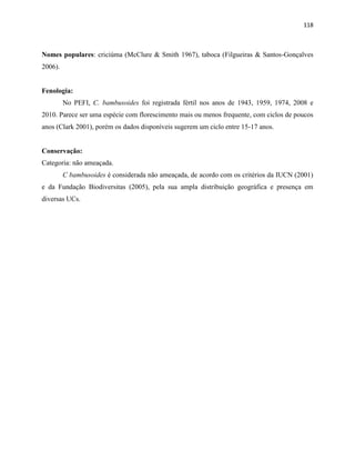 118
Nomes populares: criciúma (McClure & Smith 1967), taboca (Filgueiras & Santos-Gonçalves
2006).
Fenologia:
No PEFI, C. bambusoides foi registrada fértil nos anos de 1943, 1959, 1974, 2008 e
2010. Parece ser uma espécie com florescimento mais ou menos frequente, com ciclos de poucos
anos (Clark 2001), porém os dados disponíveis sugerem um ciclo entre 15-17 anos.
Conservação:
Categoria: não ameaçada.
C bambusoides é considerada não ameaçada, de acordo com os critérios da IUCN (2001)
e da Fundação Biodiversitas (2005), pela sua ampla distribuição geográfica e presença em
diversas UCs.
 