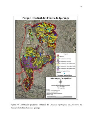 125
Figura 50. Distribuição geográfica conhecida de Chusquea capituliflora var. pubescens no
Parque Estadual das Fontes do Ipiranga.
 