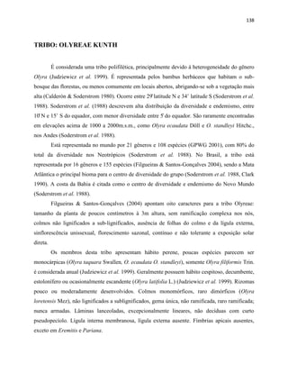 138
TRIBO: OLYREAE KUNTH
É considerada uma tribo polifilética, principalmente devido à heterogeneidade do gênero
Olyra (Judziewicz et al. 1999). É representada pelos bambus herbáceos que habitam o sub-
bosque das florestas, ou menos comumente em locais abertos, abrigando-se sob a vegetação mais
alta (Calderón & Soderstrom 1980). Ocorre entre 29 latitude N e 34˚ latitude S (Soderstrom et al.
1988). Soderstrom et al. (1988) descrevem alta distribuição da diversidade e endemismo, entre
10 N e 15˚ S do e uador, com menor diversidade entre 5 do equador. São raramente encontradas
em elevações acima de 1000 a 2000m.s.m., como Olyra ecaudata Döll e O. standleyi Hitchc.,
nos Andes (Soderstrom et al. 1988).
Está representada no mundo por 21 gêneros e 108 espécies (GPWG 2001), com 80% do
total da diversidade nos Neotrópicos (Soderstrom et al. 1988). No Brasil, a tribo está
representada por 16 gêneros e 155 espécies (Filgueiras & Santos-Gonçalves 2004), sendo a Mata
Atlântica o principal bioma para o centro de diversidade do grupo (Soderstrom et al. 1988, Clark
1990). A costa da Bahia é citada como o centro de diversidade e endemismo do Novo Mundo
(Soderstrom et al. 1988).
Filgueiras & Santos-Gonçalves (2004) apontam oito caracteres para a tribo Olyreae:
tamanho da planta de poucos centímetros à 3m altura, sem ramificação complexa nos nós,
colmos não lignificados a sub-lignificados, ausência de folhas do colmo e da lígula externa,
sinflorescência unissexual, florescimento sazonal, contínuo e não tolerante a exposição solar
direta.
Os membros desta tribo apresentam hábito perene, poucas espécies parecem ser
monocárpicas (Olyra taquara Swallen, O. ecaudata O. standleyi), somente Olyra filiformis Trin.
é considerada anual (Judziewicz et al. 1999). Geralmente possuem hábito cespitoso, decumbente,
estolonífero ou ocasionalmente escandente (Olyra latifolia L.) (Judziewicz et al. 1999). Rizomas
pouco ou moderadamente desenvolvidos. Colmos monomórficos, raro dimórficos (Olyra
loretensis Mez), não lignificados a sublignificados, gema única, não ramificada, raro ramificada;
nunca armadas. Lâminas lanceoladas, excepcionalmente lineares, não decíduas com curto
pseudopecíolo. Lígula interna membranosa, lígula externa ausente. Fímbrias apicais ausentes,
exceto em Eremitis e Pariana.
 