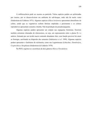 139
A sinflorescência pode ser racemo ou panícula. Várias espécies podem ser polinizadas
por insetos, por se desenvolverem em ambiente de sub-bosque, onde não há muito vento
(Soderstrom & Calderon 1971). Algumas espécies (Olyra loretensis) apresentam dimorfismo do
colmo, sendo que os vegetativos exibem lâminas ampliadas e persistentes e os colmos
reprodutivos apresentam somente a bainha. Não há produção de pseudoespiguetas.
Algumas espécies podem apresentar um estípite nas espiguetas femininas. Ocorrem
também estruturas chamadas de elaiossomos, ou seja, um espessamento entre a gluma II e o
antécio, formado por um tecido macio contendo abundante óleo, com função provável de atrair
as formigas, auxiliando na dispersão das sementes (Judziewicz et al. 1999). Algumas espécies
podem apresentar o fenômeno de nictinastia, como nas Leguminosae (Lithachne, Diandrolyra,
Cryptochloa e Strephium) (Soderstrom & Calderón 1979).
No PEFI, registra-se a ocorrência de dois gêneros Olyra e Parodiolyra.
 