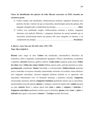 140
Chave de identificação dos gêneros da tribo Olyreae ocorrentes no PEFI, baseada em
caracteres gerais.
1. Colmos simples, não ramificados, sinflorescências terminais, espiguetas femininas com
pedicelo clavado e maiores do que as masculinas, desarticulação acima das glumas, hilo
alongado, atingindo todo o comprimento da cariopse..................................................Olyra
1’. Colmos com ramificação simples, sinflorescências terminais e axilares, espiguetas
femininas com pedicelo filiforme, e espiguetas femininas do mesmo tamanho que as
masculinas, desarticulação abaixo das glumas, hilo curto, atingindo, no máximo, ¾ do
comprimento da cariopse...................................................................................Parodiolyra
4. Olyra L., Syst. Nat. (ed. 10) 1253, 1261, 1379. 1759.
Tipo: Olyra latifolia L.
Rizoma curto, longo ou nulo. Colmos não ramificados, monomórficos, dimorficos até
trimorficos, eretos a arqueados, moderadamente agregados a difusos, decumbentes, escandentes
a reptantes; entrenós fistulosos, glabros a pilosos. Linha nodal conspícua, gema única. Folhas
do colmo nulas. Folhas dos ramos: bainha fímbrias apicais nulas, aurículas presentes ou nulas;
pseudopecíolo complanado; lâmina lanceolada a oval-lanceolada. Sinflorescências panículas
laxas a contraídas ou racemos contraídos, determinadas, terminais e/ou axilares, ramos inferiores
com espiguetas masculinas, com/sem espigueta feminina terminal ou os superiores com
masculinas inferiormente e/ou 1-8 femininas terminais, e pedicelos clavados. Espiguetas
unissexuadas, basitonas, alternas. Espiguetas femininas geralmente maiores que as masculinas,
desarticulando acima das glumas; glumas 2, subiguais, entrenó de ráquila nulo; estípite presente
ou nulo; antécios férteis 1, antécio apical nulo; lema 1; pálea 1; estigmas 2; lodículas 3.
Espiguetas masculinas geralmente menores que as femininas, glumas nulas; lema 1; pálea 1;
lodículas duas iguais e uma menor; estames 3. Cariopse nucoide, hilo linear.
 