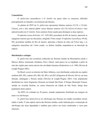 146
Comentários:
O. glaberrima assemelha-se a O. humilis em quase todos os caracteres, diferindo
principalmente no tamanho e revestimento das lâminas.
As plantas do PEFI de O. glaberrima apresentam lâminas maiores (12-24 x 3,5-6,6(-
8,5)cm), com a face adaxial glabra versus lâminas menores (4,5-12(-14),5x1,4-3,4cm) e face
adaxial escabra em O. humilis. Estes carateres foram usados para distinguir as duas espécies.
O espécime Lanna-Sobrinho, J.P. 1850 (SP), procedente do Rio de Janeiro, apresenta as
espiguetas maiores que nas descrições, atingindo 27mm compr. O espécime Luetzelburg 109 (K,
SP), procedente também do Rio de Janeiro, apresenta a lâmina do ramo até 8,5cm larg. e as
espiguetas masculinas até 11mm compr., as demais medidas enquadram-se na descrição da
espécie.
Distribuição e ecologia:
O. glaberrima tem ocorrência conhecida nas florestas úmidas da Mesoamérica desde o
México, Belize, Guatemala, Honduras, Peru e Brasil, onde parece ter se espalhado a partir de
uma das regiões para outras através das atividades humanas (Soderstrom et al. 1988, Oliveira &
Longhi-Wagner 2001).
No Brasil, ocorre no domínio da Mata Atlântica, com distribuição conhecida nas regiões
nordeste (BA, PE), sudeste (ES, MG, RJ, SP) e sul (SC) (Filgueiras & Oliveira 2011a), em área
alterada, subalagada e floresta úmida (Oliveira & Longhi-Wagner 2001). Está amplamente
distribuida em vários fragmentos florestais na Grande São Paulo. O Parque Municipal Trianon,
situado na Avenida Paulista, no centro financeiro da cidade de São Paulo, abriga duas
populações desta espécie.
No PEFI, foi coletada em 30 pontos, estando amplamente distribuída nas margens da
mata e no sub-bosque.
O. glaberrima desenvolve-se no sub-bosque das florestas em estádio secundário inicial,
médio e tardio. É uma espécie nativa das florestas úmidas, sendo indicada para a restauração do
sub-bosque das áreas degradadas e também para cultivo em locais sombreados e vasos para
interiores.
 