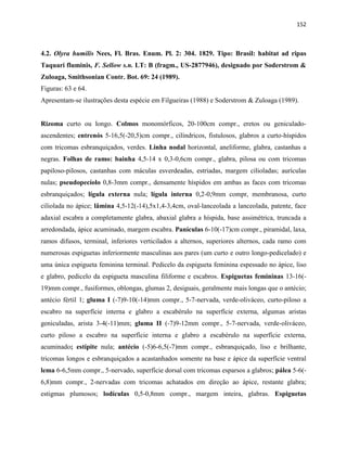 152
4.2. Olyra humilis Nees, Fl. Bras. Enum. Pl. 2: 304. 1829. Tipo: Brasil: habitat ad ripas
Taquari fluminis, F. Sellow s.n. LT: B (fragm., US-2877946), designado por Soderstrom &
Zuloaga, Smithsonian Contr. Bot. 69: 24 (1989).
Figuras: 63 e 64.
Apresentam-se ilustrações desta espécie em Filgueiras (1988) e Soderstrom & Zuloaga (1989).
Rizoma curto ou longo. Colmos monomórficos, 20-100cm compr., eretos ou geniculado-
ascendentes; entrenós 5-16,5(-20,5)cm compr., cilíndricos, fistulosos, glabros a curto-híspidos
com tricomas esbranquiçados, verdes. Linha nodal horizontal, aneliforme, glabra, castanhas a
negras. Folhas de ramo: bainha 4,5-14 x 0,3-0,6cm compr., glabra, pilosa ou com tricomas
papiloso-pilosos, castanhas com máculas esverdeadas, estriadas, margem cilioladas; aurículas
nulas; pseudopecíolo 0,8-3mm compr., densamente híspidos em ambas as faces com tricomas
esbranquiçados; lígula externa nula; lígula interna 0,2-0,9mm compr, membranosa, curto
ciliolada no ápice; lâmina 4,5-12(-14),5x1,4-3,4cm, oval-lanceolada a lanceolada, patente, face
adaxial escabra a completamente glabra, abaxial glabra a híspida, base assimétrica, truncada a
arredondada, ápice acuminado, margem escabra. Panículas 6-10(-17)cm compr., piramidal, laxa,
ramos difusos, terminal, inferiores verticilados a alternos, superiores alternos, cada ramo com
numerosas espiguetas inferiormente masculinas aos pares (um curto e outro longo-pedicelado) e
uma única espigueta feminina terminal. Pedicelo da espigueta feminina espessado no ápice, liso
e glabro, pedicelo da espigueta masculina filiforme e escabros. Espiguetas femininas 13-16(-
19)mm compr., fusiformes, oblongas, glumas 2, desiguais, geralmente mais longas que o antécio;
antécio fértil 1; gluma I (-7)9-10(-14)mm compr., 5-7-nervada, verde-oliváceo, curto-piloso a
escabro na superfície interna e glabro a escabérulo na superfície externa, algumas aristas
geniculadas, arista 3-4(-11)mm; gluma II (-7)9-12mm compr., 5-7-nervada, verde-oliváceo,
curto piloso a escabro na superfície interna e glabro a escabérulo na superfície externa,
acuminado; estípite nula; antécio (-5)6-6,5(-7)mm compr., esbranquiçado, liso e brilhante,
tricomas longos e esbranquiçados a acastanhados somente na base e ápice da superfície ventral
lema 6-6,5mm compr., 5-nervado, superfície dorsal com tricomas esparsos a glabros; pálea 5-6(-
6,8)mm compr., 2-nervadas com tricomas achatados em direção ao ápice, restante glabra;
estigmas plumosos; lodículas 0,5-0,8mm compr., margem inteira, glabras. Espiguetas
 
