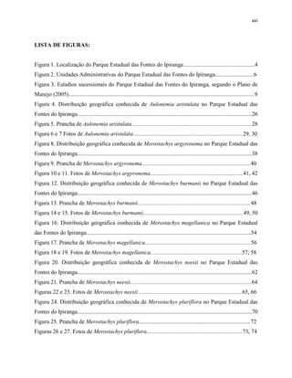 xvi
LISTA DE FIGURAS:
Figura 1. Localização do Parque Estadual das Fontes do Ipiranga..................................................4
Figura 2. Unidades Administrativas do Parque Estadual das Fontes do Ipiranga...........................6
Figura 3. Estadios sucessionais do Parque Estadual das Fontes do Ipiranga, segundo o Plano de
Manejo (2005)..................................................................................................................................9
Figura 4. Distribuição geográfica conhecida de Aulonemia aristulata no Parque Estadual das
Fontes do Ipiranga..........................................................................................................................26
Figura 5. Prancha de Aulonemia aristulata....................................................................................28
Figura 6 e 7 Fotos de Aulonemia aristulata.............................................................................29, 30
Figura 8. Distribuição geográfica conhecida de Merostachys argyronema no Parque Estadual das
Fontes do Ipiranga..........................................................................................................................38
Figura 9. Prancha de Merostachys argyronema............................................................................40
Figura 10 e 11. Fotos de Merostachys argyronema.................................................................41, 42
Figura 12. Distribuição geográfica conhecida de Merostachys burmanii no Parque Estadual das
Fontes do Ipiranga..........................................................................................................................46
Figura 13. Prancha de Merostachys burmanii...............................................................................48
Figura 14 e 15. Fotos de Merostachys burmanii......................................................................49, 50
Figura 16. Distribuição geográfica conhecida de Merostachys magellanica no Parque Estadual
das Fontes do Ipiranga...................................................................................................................54
Figura 17. Prancha de Merostachys magellanica..........................................................................56
Figura 18 e 19. Fotos de Merostachys magellanica................................................................57, 58
Figura 20. Distribuição geográfica conhecida de Merostachys neesii no Parque Estadual das
Fontes do Ipiranga..........................................................................................................................62
Figura 21. Prancha de Merostachys neesii.....................................................................................64
Figuras 22 e 23. Fotos de Merostachys neesii.........................................................................65, 66
Figura 24. Distribuição geográfica conhecida de Merostachys pluriflora no Parque Estadual das
Fontes do Ipiranga..........................................................................................................................70
Figura 25. Prancha de Merostachys pluriflora..............................................................................72
Figuras 26 e 27. Fotos de Merostachys pluriflora...................................................................73, 74
 