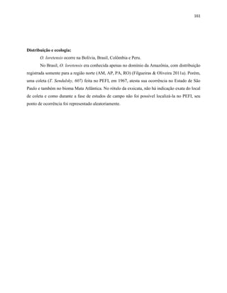 161
Distribuição e ecologia:
O. loretensis ocorre na Bolívia, Brasil, Colômbia e Peru.
No Brasil, O. loretensis era conhecida apenas no domínio da Amazônia, com distribuição
registrada somente para a região norte (AM, AP, PA, RO) (Filgueiras & Oliveira 2011a). Porém,
uma coleta (T. Sendulsky, 607) feita no PEFI, em 1967, atesta sua ocorrência no Estado de São
Paulo e também no bioma Mata Atlântica. No rótulo da exsicata, não há indicação exata do local
de coleta e como durante a fase de estudos de campo não foi possível localizá-la no PEFI, seu
ponto de ocorrência foi representado aleatoriamente.
 