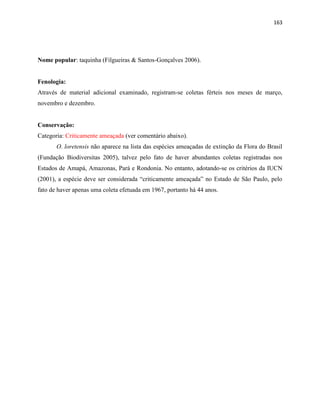 163
Nome popular: taquinha (Filgueiras & Santos-Gonçalves 2006).
Fenologia:
Através de material adicional examinado, registram-se coletas férteis nos meses de março,
novembro e dezembro.
Conservação:
Categoria: Criticamente ameaçada (ver comentário abaixo).
O. loretensis não aparece na lista das espécies ameaçadas de extinção da Flora do Brasil
(Fundação Biodiversitas 2005), talvez pelo fato de haver abundantes coletas registradas nos
Estados de Amapá, Amazonas, Pará e Rondonia. No entanto, adotando-se os critérios da IUCN
(2001), a espécie deve ser considerada “criticamente ameaçada” no Estado de São Paulo, pelo
fato de haver apenas uma coleta efetuada em 1967, portanto há 44 anos.
 