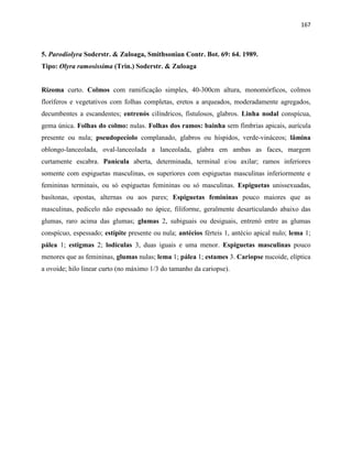 167
5. Parodiolyra Soderstr. & Zuloaga, Smithsonian Contr. Bot. 69: 64. 1989.
Tipo: Olyra ramosissima (Trin.) Soderstr. & Zuloaga
Rizoma curto. Colmos com ramificação simples, 40-300cm altura, monomórficos, colmos
floríferos e vegetativos com folhas completas, eretos a arqueados, moderadamente agregados,
decumbentes a escandentes; entrenós cilíndricos, fistulosos, glabros. Linha nodal conspícua,
gema única. Folhas do colmo: nulas. Folhas dos ramos: bainha sem fímbrias apicais, aurícula
presente ou nula; pseudopecíolo complanado, glabros ou híspidos, verde-vináceos; lâmina
oblongo-lanceolada, oval-lanceolada a lanceolada, glabra em ambas as faces, margem
curtamente escabra. Panícula aberta, determinada, terminal e/ou axilar; ramos inferiores
somente com espiguetas masculinas, os superiores com espiguetas masculinas inferiormente e
femininas terminais, ou só espiguetas femininas ou só masculinas. Espiguetas unissexuadas,
basítonas, opostas, alternas ou aos pares; Espiguetas femininas pouco maiores que as
masculinas, pedicelo não espessado no ápice, filiforme, geralmente desarticulando abaixo das
glumas, raro acima das glumas; glumas 2, subiguais ou desiguais, entrenó entre as glumas
conspícuo, espessado; estípite presente ou nula; antécios férteis 1, antécio apical nulo; lema 1;
pálea 1; estigmas 2; lodículas 3, duas iguais e uma menor. Espiguetas masculinas pouco
menores que as femininas, glumas nulas; lema 1; pálea 1; estames 3. Cariopse nucoide, elíptica
a ovoide; hilo linear curto (no máximo 1/3 do tamanho da cariopse).
 