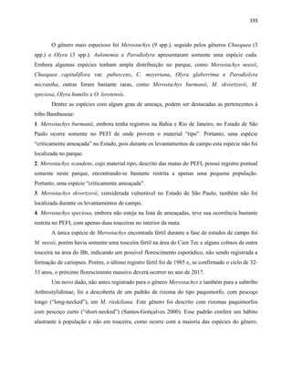 193
O gênero mais especioso foi Merostachys (9 spp.), seguido pelos gêneros Chusquea (3
spp.) e Olyra (3 spp.). Aulonemia e Parodiolyra apresentaram somente uma espécie cada.
Embora algumas espécies tenham ampla distribuição no parque, como Merostachys neesii,
Chusquea capituliflora var. pubescens, C. meyeriana, Olyra glaberrima e Parodiolyra
micrantha, outras foram bastante raras, como Merostachys burmanii, M. skvortzovii, M.
speciosa, Olyra humilis e O. loretensis.
Dentre as espécies com algum grau de ameaça, podem ser destacadas as pertencentes à
tribo Bambuseae:
1. Merostachys burmanii, embora tenha registros na Bahia e Rio de Janeiro, no Estado de São
Paulo ocorre somente no PEFI de onde provem o material “tipo”. Portanto, uma espécie
“criticamente ameaçada” no Estado, pois durante os levantamentos de campo esta espécie não foi
localizada no parque.
2. Merostachys scandens, cujo material tipo, descrito das matas do PEFI, possui registro pontual
somente neste parque, encontrando-se bastante restrita a apenas uma pequena população.
Portanto, uma espécie “criticamente ameaçada”.
3. Merostachys skvortzovii, considerada vulnerável no Estado de São Paulo, também não foi
localizada durante os levantamentos de campo.
4. Merostachys speciosa, embora não esteja na lista de ameaçadas, teve sua ocorrência bastante
restrita no PEFI, com apenas duas touceiras no interior da mata.
A única espécie de Merostachys encontrada fértil durante a fase de estudos de campo foi
M. neesii, porém havia somente uma touceira fértil na área do Cien Tec e alguns colmos de outra
touceira na área do IBt, indicando um possível florescimento esporádico, não sendo registrada a
formação de cariopses. Porém, o último registro fértil foi de 1985 e, se confirmado o ciclo de 32-
33 anos, o próximo florescimento massivo deverá ocorrer no ano de 2017.
Um novo dado, não antes registrado para o gênero Merostachys e também para a subtribo
Arthrostylidiinae, foi a descoberta de um padrão de rizoma do tipo paquimorfo, com pescoço
longo (“long-necked”), em M. riedeliana. Este gênero foi descrito com rizomas paquimorfos
com pescoço curto (“short-necked”) (Santos-Gonçalves 2000). Esse padrão confere um hábito
alastrante à população e não em touceira, como ocorre com a maioria das espécies do gênero.
 