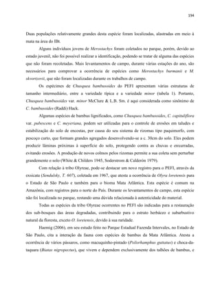 194
Duas populações relativamente grandes desta espécie foram localizadas, alastradas em meio à
mata na área do IBt.
Alguns indivíduos jovens de Merostachys foram coletados no parque, porém, devido ao
estado juvenil, não foi possível realizar a identificação, podendo se tratar de alguma das espécies
que não foram recoletadas. Mais levantamentos de campo, durante várias estações do ano, são
necessários para comprovar a ocorrência de espécies como Merostachys burmanii e M.
skvortzovii, que não foram localizadas durante os trabalhos de campo.
Os espécimes de Chusquea bambusoides do PEFI apresentam várias estruturas de
tamanho intermediário, entre a variedade típica e a variedade minor (tabela 1). Portanto,
Chusquea bambusoides var. minor McClure & L.B. Sm. é aqui considerada como sinônimo de
C. bambusoides (Raddi) Hack.
Algumas espécies de bambus lignificados, como Chusquea bambusoides, C. capituliflora
var. pubescens e C. meyeriana, podem ser utilizadas para o controle de erosões em taludes e
estabilização do solo de encostas, por causa do seu sistema de rizomas tipo paquimorfo, com
pescoço curto, que formam grandes agregados desenvolvendo-se a c. 30cm do solo. Eles podem
produzir lâminas próximas à superfície do solo, protegendo contra as chuvas e enxurradas,
evitando erosões. A produção de novos colmos pelos rizomas permite a sua coleta sem perturbar
grandemente o solo (White & Childers 1945, Soderstrom & Calderón 1979).
Com relação à tribo Olyreae, pode-se destacar um novo registro para o PEFI, através da
exsicata (Sendulsky, T. 607), coletada em 1967, que atesta a ocorrência de Olyra loretensis para
o Estado de São Paulo e também para o bioma Mata Atlântica. Esta espécie é comum na
Amazônia, com registros para o norte do País. Durante os levantamentos de campo, esta espécie
não foi localizada no parque, restando uma dúvida relacionada à autenticidade do material.
Todas as espécies da tribo Olyreae ocorrentes no PEFI são indicadas para a restauração
dos sub-bosques das áreas degradadas, contribuindo para o estrato herbáceo e subarbustivo
natural da floresta, exceto O. loretensis, devido à sua raridade.
Haemig (2006), em seu estudo feito no Parque Estadual Fazenda Intervales, no Estado de
São Paulo, cita a interação da fauna com espécies de bambus da Mata Atlântica. Atesta a
ocorrência de vários pássaros, como macuquinho-pintado (Psilorhamphus guttatus) e choca-da-
taquara (Biatas nigropectus), que vivem e dependem exclusivamente dos talhões de bambus, e
 