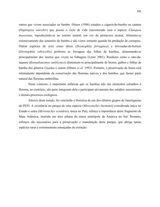195
outros que vivem associados ao bambu. Olmos (1996) estudou a cigarra-do-bambu ou catatau
(Haplospiza unicolor) que possui o ciclo de vida sincronizado com a espécie Chusquea
meyeriana, reproduzindo-se no outono austral, em vez da primavera austral. Alimenta-se
extensivamente das sementes do bambu e são vistos somente quando há produção de cariopses.
Outras espécies de aves como dituís (Drymophila ferruginea) e trovoadas-de-bertoni
(Drymophila rubricollis) preferem as forragens das folhas de bambus, alimentando-se
principalmente dos insetos que vivem na folhagem (Leme 2001). Roedores como o rato-da-
taquara (Kannabateomys amblyonyx) alimentam-se principalmente de brotos, galhos e folhas de
bambu dos gêneros Guadua e outros (Olmos et al. 1993). Portanto, a preservação da fauna está
intimamente dependente da conservação das florestas nativas e dos bambus, que fazem parte
natural das florestas ombrófilas.
Neste contexto, é importante enfatizar que os bambus não são elementos estranhos à
floresta, ao contrário, são parte integrante dela e participam ativamente dos estádios sucessionais
e demais processos ecológicos.
Através deste estudo, foi concluída a florística de um dos últimos grupos de fanerógamas
do PEFI. A existência no parque de uma espécie (Merostachys burmanii) considerada única no
Estado e outra (Merostachys scandens), única no País, reforça a importância deste fragmento de
Mata Atlântica, inserido em área urbana da maior metrópole da América do Sul. Portanto,
esforços são necessários para a preservação e manutenção deste parque, que abriga tantas
espécies raras e extremamente ameaçadas de extinção.
 