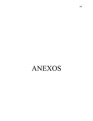 206
ANEXOS
 
