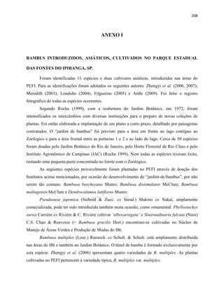 208
ANEXO I
BAMBUS INTRODUZIDOS, ASIÁTICOS, CULTIVADOS NO PARQUE ESTADUAL
DAS FONTES DO IPIRANGA, SP.
Foram identificadas 11 espécies e duas cultivares asiáticas, introduzidas nas áreas do
PEFI. Para as identificações foram adotados os seguintes autores: Zhengyi et al. (2006, 2007);
Meredith (2001); Londoño (2004); Filgueiras (2005) e Ardle (2009). Foi feito o registro
fotográfico de todas as espécies ocorrentes.
Segundo Rocha (1999), com a reabertura do Jardim Botânico, em 1972, foram
intensificados os intercâmbios com diversas instituições para o preparo de novas coleções de
plantas. Foi então elaborada a implantação de um plano a curto prazo, detalhado por paisagistas
contratados. O “jardim de bambus” foi previsto para a área em frente ao lago contíguo ao
Zoológico e para a área frontal entre as portarias 1 e 2 e ao lado do lago. Cerca de 50 espécies
foram doadas pelo Jardim Botânico do Rio de Janeiro, pelo Horto Florestal de Rio Claro e pelo
Instituto Agronômico de Campinas (IAC) (Rocha 1999). Nem todas as espécies tiveram êxito,
restando uma pequena parte concentrada no limite com o Zoológico.
As seguintes espécies provavelmente foram plantadas no PEFI através de doação dos
Institutos acima mencionados, por ocasião do desenvolvimento do “jardim-de-bambus”, por não
serem tão comuns: Bambusa beecheyana Munro, Bambusa dissimulator McClure, Bambusa
malingensis McClure e Dendrocalamus latiflorus Munro.
Pseudosasa japonica (Siebold & Zucc. ex Steud.) Makino ex Nakai, amplamente
comecializada, pode ter sido introduzida também nesta ocasião, como ornamental. Phyllostachys
aurea Carriére ex Riviére & C. Riviére cultivar ‘albovariegata’ e Sinarundinaria falcata (Nees)
C.S. Chao & Renvoize (= Bambusa gracilis Hort.) encontram-se cultivadas no Núcleo de
Manejo de Áreas Verdes e Produção de Mudas do IBt.
Bambusa multiplex (Lour.) Raeusch. ex Schult. & Schult. está amplamente distribuída
nas áreas do IBt e também no Jardim Botânico. O túnel de bambu é formado exclusivamente por
esta espécie. Zhengyi et al. (2006) apresentam quatro variedades de B. multiplex. As plantas
cultivadas no PEFI pertencem à variedade típica, B. multiplex var. multiplex.
 