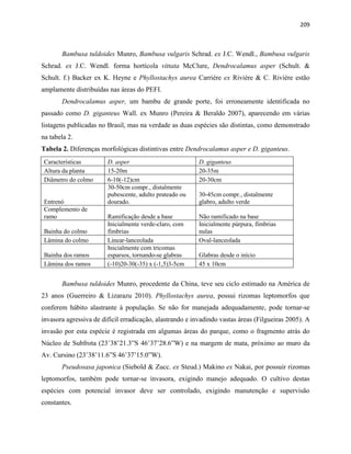 209
Bambusa tuldoides Munro, Bambusa vulgaris Schrad. ex J.C. Wendl., Bambusa vulgaris
Schrad. ex J.C. Wendl. forma hortícola vittata McClure, Dendrocalamus asper (Schult. &
Schult. f.) Backer ex K. Heyne e Phyllostachys aurea Carriére ex Riviére & C. Riviére estão
amplamente distribuídas nas áreas do PEFI.
Dendrocalamus asper, um bambu de grande porte, foi erroneamente identificada no
passado como D. giganteus Wall. ex Munro (Pereira & Beraldo 2007), aparecendo em várias
listagens publicadas no Brasil, mas na verdade as duas espécies são distintas, como demonstrado
na tabela 2.
Tabela 2. Diferenças morfológicas distintivas entre Dendrocalamus asper e D. giganteus.
Características D. asper D. giganteus
Altura da planta 15-20m 20-35m
Diâmetro do colmo 6-10(-12)cm 20-30cm
Entrenó
30-50cm compr., distalmente
pubescente, adulto prateado ou
dourado.
30-45cm compr., distalmente
glabro, adulto verde
Complemento de
ramo Ramificação desde a base Não ramificado na base
Bainha do colmo
Inicialmente verde-claro, com
fímbrias
Inicialmente púrpura, fímbrias
nulas
Lâmina do colmo Linear-lanceolada Oval-lanceolada
Bainha dos ramos
Inicialmente com tricomas
esparsos, tornando-se glabras Glabras desde o início
Lâmina dos ramos (-10)20-30(-35) x (-1,5)3-5cm 45 x 10cm
Bambusa tuldoides Munro, procedente da China, teve seu ciclo estimado na América de
23 anos (Guerreiro & Lizarazu 2010). Phyllostachys aurea, possui rizomas leptomorfos que
conferem hábito alastrante à população. Se não for manejada adequadamente, pode tornar-se
invasora agressiva de difícil erradicação, alastrando e invadindo vastas áreas (Filgueiras 2005). A
invasão por esta espécie é registrada em algumas áreas do parque, como o fragmento atrás do
Núcleo de Subfrota (23˚38’21.3”S 46˚37’28.6”W) e na margem de mata, próximo ao muro da
Av. Cursino (23˚38’11.6”S 46˚37’15.0”W).
Pseudosasa japonica (Siebold & Zucc. ex Steud.) Makino ex Nakai, por possuir rizomas
leptomorfos, também pode tornar-se invasora, exigindo manejo adequado. O cultivo destas
espécies com potencial invasor deve ser controlado, exigindo manutenção e supervisão
constantes.
 