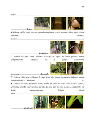 217
claros..................................................................................................................................................
..................................D. asper
6’.Colmos 20-25m altura, entrenós jovens basais glabros, verdes; bainha do colmo com tricomas
urticantes, castanho-
escuros................................................................................................................................................
............................................................D. latiflorus ...
7. Colmos 4-7(-9)m altura, diâmetro 1,5-2,5(-4)cm; ápice do colmo pêndulo; ramos
complementares subiguais ou o central ligeiramente
dominante..............................................B.multiplex ..
7’. Colmos 7-18m altura, diâmetro 3-10cm; ápice sub-ereto ou ligeiramente inclinado; ramos
complementares 1-3 dominantes.....................................................................................................8
8. Entrenó do colmo totalmente verde, bainha da folha do colmo com tricomas densos,
urticantes, castanho-escuros; bainha da folha do ramo com tricomas esparsos, concentrados no
ápice, castanho-escuros, fímbrias apicais
nulas...................................................................................................................................................
............................B. vulgaris
 