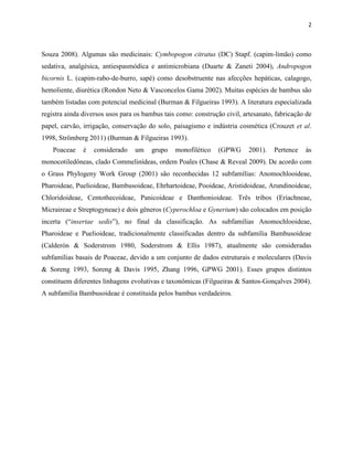 2
Souza 2008). Algumas são medicinais: Cymbopogon citratus (DC) Stapf. (capim-limão) como
sedativa, analgésica, antiespasmódica e antimicrobiana (Duarte & Zaneti 2004), Andropogon
bicornis L. (capim-rabo-de-burro, sapé) como desobstruente nas afecções hepáticas, calagogo,
hemoliente, diurética (Rondon Neto & Vasconcelos Gama 2002). Muitas espécies de bambus são
também listadas com potencial medicinal (Burman & Filgueiras 1993). A literatura especializada
registra ainda diversos usos para os bambus tais como: construção civil, artesanato, fabricação de
papel, carvão, irrigação, conservação do solo, paisagismo e indústria cosmética (Crouzet et al.
1998, Strömberg 2011) (Burman & Filgueiras 1993).
Poaceae é considerado um grupo monofilético (GPWG 2001). Pertence às
monocotiledôneas, clado Commelinídeas, ordem Poales (Chase & Reveal 2009). De acordo com
o Grass Phylogeny Work Group (2001) são reconhecidas 12 subfamílias: Anomochlooideae,
Pharoideae, Puelioideae, Bambusoideae, Ehrhartoideae, Pooideae, Aristidoideae, Arundinoideae,
Chloridoideae, Centothecoideae, Panicoideae e Danthonioideae. Três tribos (Eriachneae,
Micraireae e Streptogyneae) e dois gêneros (Cyperochloa e Gynerium) são colocados em posição
incerta (“insertae sedis”), no final da classificação. As subfamílias Anomochlooideae,
Pharoideae e Puelioideae, tradicionalmente classificadas dentro da subfamília Bambusoideae
(Calderón & Soderstrom 1980, Soderstrom & Ellis 1987), atualmente são consideradas
subfamílias basais de Poaceae, devido a um conjunto de dados estruturais e moleculares (Davis
& Soreng 1993, Soreng & Davis 1995, Zhang 1996, GPWG 2001). Esses grupos distintos
constituem diferentes linhagens evolutivas e taxonômicas (Filgueiras & Santos-Gonçalves 2004).
A subfamília Bambusoideae é constituida pelos bambus verdadeiros.
 