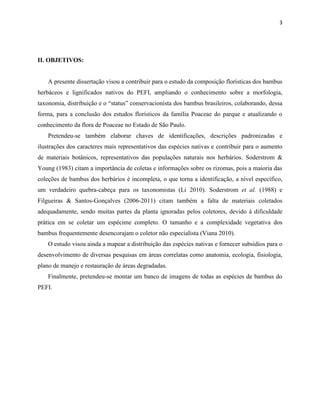 3
II. OBJETIVOS:
A presente dissertação visou a contribuir para o estudo da composição florísticas dos bambus
herbáceos e lignificados nativos do PEFI, ampliando o conhecimento sobre a morfologia,
taxonomia, distribuição e o “status” conservacionista dos bambus brasileiros, colaborando, dessa
forma, para a conclusão dos estudos florísticos da família Poaceae do parque e atualizando o
conhecimento da flora de Poaceae no Estado de São Paulo.
Pretendeu-se também elaborar chaves de identificações, descrições padronizadas e
ilustrações dos caracteres mais representativos das espécies nativas e contribuir para o aumento
de materiais botânicos, representativos das populações naturais nos herbários. Soderstrom &
Young (1983) citam a importância de coletas e informações sobre os rizomas, pois a maioria das
coleções de bambus dos herbários é incompleta, o que torna a identificação, a nível específico,
um verdadeiro quebra-cabeça para os taxonomistas (Li 2010). Soderstrom et al. (1988) e
Filgueiras & Santos-Gonçalves (2006-2011) citam também a falta de materiais coletados
adequadamente, sendo muitas partes da planta ignoradas pelos coletores, devido à dificuldade
prática em se coletar um espécime completo. O tamanho e a complexidade vegetativa dos
bambus frequentemente desencorajam o coletor não especialista (Viana 2010).
O estudo visou ainda a mapear a distribuição das espécies nativas e fornecer subsídios para o
desenvolvimento de diversas pesquisas em áreas correlatas como anatomia, ecologia, fisiologia,
plano de manejo e restauração de áreas degradadas.
Finalmente, pretendeu-se montar um banco de imagens de todas as espécies de bambus do
PEFI.
 