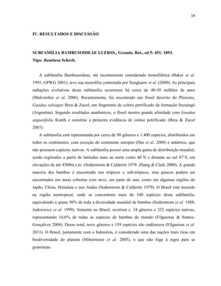 14
IV. RESULTADOS E DISCUSSÃO
SUBFAMÍLIA BAMBUSOIDEAE LUERSS., Grundz. Bot., ed 5: 451. 1893.
Tipo: Bambusa Schreb.
A subfamília Bambusoideae, até recentemente considerada monofilética (Baker et al.
1995, GPWG 2001), teve sua monofilia contestada por Sungkaew et al. (2009). As principais
radiações evolutivas desta subfamília ocorreram há cerca de 40-50 milhões de anos
(Malcomber et al. 2006). Recentemente, foi encontrado um fóssil descrito do Plioceno,
Guadua zuloagae Brea & Zucol, um fragmento de colmo petrificado da formação Ituzaingó
(Argentina). Segundo resultados anatômicos, o fóssil mostra grande afinidade com Guadua
angustifolia Kunth e constitui a primeira evidência de colmo petrificado (Brea & Zucol
2007).
A subfamília está representada por cerca de 90 gêneros e 1.400 espécies, distribuídos em
todos os continentes, com exceção do continente europeu (Das et al. 2008) e antártico, que
não possuem espécies nativas. A subfamília possui uma ampla gama de distribuição mundial,
sendo regitrados a partir de latitudes mais ao norte como 46 N e distante ao sul 47˚S, em
elevações de até 4300m.s.m. (Soderstrom & Calderón 1979, Zhang & Clark 2000). A grande
maioria dos bambus é encontrada nos trópicos e sub-trópicos, mas poucos podem ser
encontrados em áreas cobertas com neve, em parte do ano, como em algumas regiões do
Japão, China, Himalaia e nos Andes (Soderstrom & Calderón 1979). O Brasil está inserido
na região neotropical, onde se concentram mais de 540 espécies desta subfamília,
equivalendo a quase 50% de toda a diversidade mundial de bambus (Soderstrom et al. 1988,
Judziewicz et al. 1999). Somente no Brasil, ocorrem c. 34 gêneros e 232 espécies nativas,
representando 16,6% de todas as espécies de bambus do mundo (Filgueiras & Santos-
Gonçalves 2004). Desse total, nove gêneros e 159 espécies são endêmicos (Filgueiras et al.
2011). O Brasil, juntamente com a Indonésia, é considerado uma das nações mais ricas em
biodiversidade do planeta (Mittermeier et al. 2005), o que não foge à regra para as
gramíneas.
 