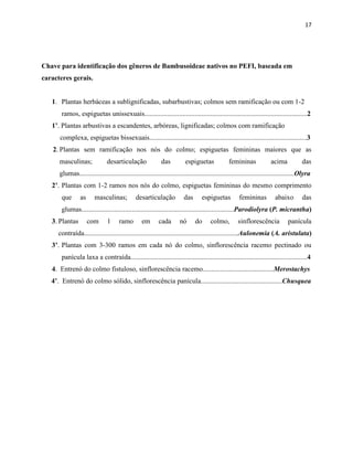 17
Chave para identificação dos gêneros de Bambusoideae nativos no PEFI, baseada em
caracteres gerais.
1. Plantas herbáceas a sublignificadas, subarbustivas; colmos sem ramificação ou com 1-2
ramos, espiguetas unissexuais..............................................................................................2
1’. Plantas arbustivas a escandentes, arbóreas, lignificadas; colmos com ramificação
complexa, espiguetas bissexuais...........................................................................................3
2. Plantas sem ramificação nos nós do colmo; espiguetas femininas maiores que as
masculinas; desarticulação das espiguetas femininas acima das
glumas............................................................................................................................Olyra
2’. Plantas com 1-2 ramos nos nós do colmo, espiguetas femininas do mesmo comprimento
que as masculinas; desarticulação das espiguetas femininas abaixo das
glumas........................................................................................Parodiolyra (P. micrantha)
3. Plantas com 1 ramo em cada nó do colmo, sinflorescência panícula
contraída.........................................................................................Aulonemia (A. aristulata)
3’. Plantas com 3-300 ramos em cada nó do colmo, sinflorescência racemo pectinado ou
panícula laxa a contraída......................................................................................................4
4. Entrenó do colmo fistuloso, sinflorescência racemo.........................................Merostachys
4’. Entrenó do colmo sólido, sinflorescência panícula...............................................Chusquea
 