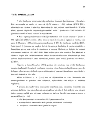 18
TRIBO BAMBUSEAE NEES
A tribo Bambuseae compreende todos os bambus fortemente lignificados de 1-40m altura.
Está representada no mundo por cerca de 60-70 gêneros e 1.300 espécies (GPWG 2001),
classificados em cerca de 10 subtribos. As classificações mais recentes, como Dransfield e Widjaja
(1995), apontam 69 gêneros, enquanto Stapleton (1997) aceita 77 gêneros e Li (2010) reconhece 67
gêneros de bambus do Velho Mundo e do Novo Mundo.
A Ásia é o principal centro de diversificação de bambus, onde existem cerca de 44 gêneros e
600 espécies (Li 2010). Somente a China possui a maior diversidade de espécies de bambus, com
cerca de 33 gêneros e 450 espécies, representando cerca de 45% dos bambus do mundo (Li 2010).
Soderstrom (1981) apontou que o sudeste da Ásia é o centro de distribuição de bambus tetraplóides e
hexaplóides, porém uma espécie de Arundinaria e outra de Phyllostachys diplóide são também
relatadas na China (Hsu 1967, 1972). Esses dados indicam que o sul e sudeste da Ásia podem ser o
centro de origem para a tribo Bambuseae, embora evidências moleculares demonstrem que essas
espécies desenvolveram-se de forma independente, tanto no Velho Mundo quanto no Novo Mundo.
(Li 2010).
Filgueiras e Santos-Gonçalves (2004) apontam oito caracteres para a tribo Bambuseae:
tamanho da planta (1-40m altura), ramificação complexa, colmo fortemente lignificado, presença de
folhas do colmo, presença de lígula externa, sinflorescência bissexual, florescimento monocárpico e
tolerância à exposição à luz solar.
Relata Soderstrom et al. (1988) que os representantes da tribo Bambuseae são
morfologicamente as gramíneas mais complexas, especialmente com relação às estruturas
vegetativas.
A presença do pseudopecíolo é um caráter importante para a subfamília, permitindo uma
contorção da lâmina para maior eficiência na captação da luz solar. O fruto pode ser uma cariopse
típica, cariopse nucóide com pericarpo enrijecido, ou cariopse bacoide com pericarpo grosso e
carnoso (Filgueiras 1986).
A tribo Bambuseae está representada no PEFI por duas subtribos:
1. Arthrostylidiinae Soderstrom & Ellis: gêneros: Aulonemia e Merostachys.
2. Chusqueinae Soderstrom & Ellis: gênero: Chusquea.
 
