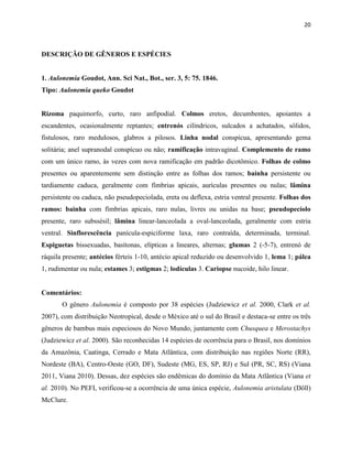 20
DESCRIÇÃO DE GÊNEROS E ESPÉCIES
1. Aulonemia Goudot, Ann. Sci Nat., Bot., ser. 3, 5: 75. 1846.
Tipo: Aulonemia queko Goudot
Rizoma paquimorfo, curto, raro anfipodial. Colmos eretos, decumbentes, apoiantes a
escandentes, ocasionalmente reptantes; entrenós cilíndricos, sulcados a achatados, sólidos,
fistulosos, raro medulosos, glabros a pilosos. Linha nodal conspícua, apresentando gema
solitária; anel supranodal conspícuo ou não; ramificação intravaginal. Complemento de ramo
com um único ramo, às vezes com nova ramificação em padrão dicotômico. Folhas de colmo
presentes ou aparentemente sem distinção entre as folhas dos ramos; bainha persistente ou
tardiamente caduca, geralmente com fímbrias apicais, aurículas presentes ou nulas; lâmina
persistente ou caduca, não pseudopeciolada, ereta ou deflexa, estria ventral presente. Folhas dos
ramos: bainha com fímbrias apicais, raro nulas, livres ou unidas na base; pseudopecíolo
presente, raro subssésil; lâmina linear-lanceolada a oval-lanceolada, geralmente com estria
ventral. Sinflorescência panícula-espiciforme laxa, raro contraída, determinada, terminal.
Espiguetas bissexuadas, basítonas, elípticas a lineares, alternas; glumas 2 (-5-7), entrenó de
ráquila presente; antécios férteis 1-10, antécio apical reduzido ou desenvolvido 1, lema 1; pálea
1, rudimentar ou nula; estames 3; estigmas 2; lodículas 3. Cariopse nucoide, hilo linear.
Comentários:
O gênero Aulonemia é composto por 38 espécies (Judziewicz et al. 2000, Clark et al.
2007), com distribuição Neotropical, desde o México até o sul do Brasil e destaca-se entre os três
gêneros de bambus mais especiosos do Novo Mundo, juntamente com Chusquea e Merostachys
(Judziewicz et al. 2000). São reconhecidas 14 espécies de ocorrência para o Brasil, nos domínios
da Amazônia, Caatinga, Cerrado e Mata Atlântica, com distribuição nas regiões Norte (RR),
Nordeste (BA), Centro-Oeste (GO, DF), Sudeste (MG, ES, SP, RJ) e Sul (PR, SC, RS) (Viana
2011, Viana 2010). Dessas, dez espécies são endêmicas do domínio da Mata Atlântica (Viana et
al. 2010). No PEFI, verificou-se a ocorrência de uma única espécie, Aulonemia aristulata (Döll)
McClure.
 