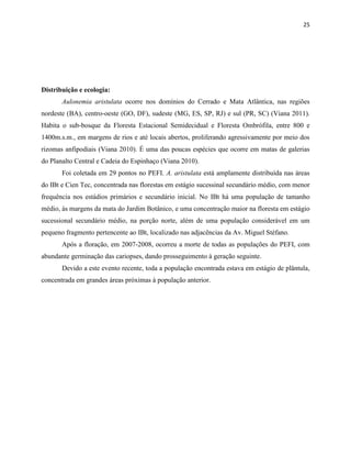 25
Distribuição e ecologia:
Aulonemia aristulata ocorre nos domínios do Cerrado e Mata Atlântica, nas regiões
nordeste (BA), centro-oeste (GO, DF), sudeste (MG, ES, SP, RJ) e sul (PR, SC) (Viana 2011).
Habita o sub-bosque da Floresta Estacional Semidecidual e Floresta Ombrófila, entre 800 e
1400m.s.m., em margens de rios e até locais abertos, proliferando agressivamente por meio dos
rizomas anfipodiais (Viana 2010). É uma das poucas espécies que ocorre em matas de galerias
do Planalto Central e Cadeia do Espinhaço (Viana 2010).
Foi coletada em 29 pontos no PEFI. A. aristulata está amplamente distribuída nas áreas
do IBt e Cien Tec, concentrada nas florestas em estágio sucessinal secundário médio, com menor
frequência nos estádios primários e secundário inicial. No IBt há uma população de tamanho
médio, às margens da mata do Jardim Botânico, e uma concentração maior na floresta em estágio
sucessional secundário médio, na porção norte, além de uma população considerável em um
pequeno fragmento pertencente ao IBt, localizado nas adjacências da Av. Miguel Stéfano.
Após a floração, em 2007-2008, ocorreu a morte de todas as populações do PEFI, com
abundante germinação das cariopses, dando prosseguimento à geração seguinte.
Devido a este evento recente, toda a população encontrada estava em estágio de plântula,
concentrada em grandes áreas próximas à população anterior.
 
