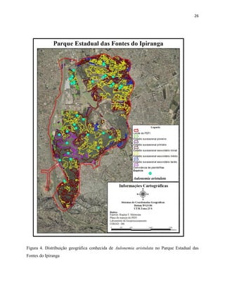 26
Figura 4. Distribuição geográfica conhecida de Aulonemia aristulata no Parque Estadual das
Fontes do Ipiranga
 