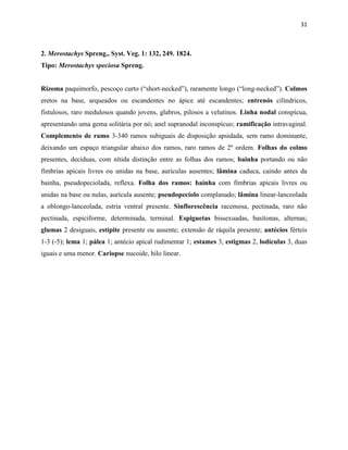 31
2. Merostachys Spreng., Syst. Veg. 1: 132, 249. 1824.
Tipo: Merostachys speciosa Spreng.
Rizoma paquimorfo, pescoço curto (“short-necked”), raramente longo (“long-necked”). Colmos
eretos na base, arqueados ou escandentes no ápice até escandentes; entrenós cilíndricos,
fistulosos, raro medulosos quando jovens, glabros, pilosos a velutinos. Linha nodal conspícua,
apresentando uma gema solitária por nó; anel supranodal inconspícuo; ramificação intravaginal.
Complemento de ramo 3-340 ramos subiguais de disposição apsidada, sem ramo dominante,
deixando um espaço triangular abaixo dos ramos, raro ramos de 2º ordem. Folhas do colmo
presentes, decíduas, com nítida distinção entre as folhas dos ramos; bainha portando ou não
fímbrias apicais livres ou unidas na base, aurículas ausentes; lâmina caduca, caindo antes da
bainha, pseudopeciolada, reflexa. Folha dos ramos: bainha com fímbrias apicais livres ou
unidas na base ou nulas, aurícula ausente; pseudopecíolo complanado; lâmina linear-lanceolada
a oblongo-lanceolada, estria ventral presente. Sinflorescência racemosa, pectinada, raro não
pectinada, espiciforme, determinada, terminal. Espiguetas bissexuadas, basítonas, alternas;
glumas 2 desiguais, estípite presente ou ausente; extensão de ráquila presente; antécios férteis
1-3 (-5); lema 1; pálea 1; antécio apical rudimentar 1; estames 3, estigmas 2, lodículas 3, duas
iguais e uma menor. Cariopse nucoide, hilo linear.
 