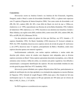 32
Comentários:
Merostachys ocorre na América Central e na América do Sul (Venezuela, Argentina,
Paraguai), sendo o Brasil o centro de diversidade (Sendulsky 1992), e o gênero mais especioso
com 53 espécies (Filgueiras & Santos-Gonçalves 2004). Tem como centro de diversidade o sul
(PR, RS, SC), sudeste (MG, RJ, SP) e leste (BA) do Brasil, do nível do mar a 1500m.s.m.
(Judziewicz et al. 1999), especialmente nas florestas do sul da Bahia (Sendulsky 1992, Calderón
& Soderstrom 1980, Judziewicz et al. 1999). Encontra-se nos domínios da Amazônia, Cerrado e
Mata Atlântica, nas regiões norte (RO), nordeste (BA), centro-oeste (DF, GO), sudeste (MG, RJ,
SP) e sul (PR, RS, SC) (Shirasuna 2011b).
Um dos primeiros estudos do gênero foi feito por McClure, em 1973, listando c. 25
espécies (Sendulsky 1992). No Brasil, Sendulsky (1992) descreveu M. burmanii coletada no
PEFI. Em 1995, Sendulsky descreveu nove espécies através da revisão do grupo M. multiramea
e, em (1997), descreveu mais 12 espécies, principalmente da Bahia e Rondônia, sendo cinco
espécies descritas apenas com material vegetativo.
Insuficientemente conhecido, com muitas espécies endêmicas e muitas ainda não
descritas pela ciência, carece de estudos com diagnoses mais adequadas, para as diversas
espécies ocorrentes no Brasil. Várias espécies apresentam descrições incompletas, com a falta de
estruturas como rizomas e folhas do colmo, ou somente com partes vegetativas. Isso dificulta a
caracterização e consequente identificação das espécies. Há uma necessidade imediata de uma
revisão geral do grupo (McClure 1973, Sendulsky 1992).
Merostachys possui afinidade com o gênero Rhipidocladum McClure, particularmente no
padrão de ramificação dos nós (tipo apsidado) e na orientação das espiguetas no racemo (Burman
& Filgueiras 1993). Schmidt & Longhi-Wagner (2009) citam para o Rio Grande do Sul uma
morfoespécie (sp.1). É a única espécie no RS que apresenta até 340 ramos por nó (Arroio do
Meio, I-1902, fl., Dutra, J. 517 (ICN).
No PEFI registra-se a ocorrência de nove espécies.
 