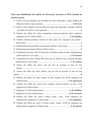 34
Chave para identificação das espécies de Merostachys ocorrentes no PEFI, baseada em
caracteres gerais.
1. Colmos 10-35mm diâmetro; nós das folhas dos ramos espessados e negros; fímbrias das
folhas dos colmos e ramos ausentes...................................................................4. M. neesii
1’. Colmos 5-9mm diâmetro; nós das folhas dos ramos não espessados, castanhos; fímbrias
das folhas dos colmos e ramos presentes...........................................................................2
2. Fímbrias das folhas dos ramos inteiramente antrorso-escabrosas, ápice escabroso;
espiguetas com 2-5 antécios férteis..............................................................5. M. pluriflora
2’. Fímbrias antrorso-escabrasas somente na base, ápice liso; espiguetas com apenas 1
antécio fértil..........................................................................................................................3
3. Sinflorescência não pectinada, raro pectinada, fímbrias 2-3mm compr..............................4
3’. Sinflorescência pectinada, fímbrias 4-25mm compr............................................................5
4. Complemento de ramos 100-130 ramos por nó; fímbrias unidas na base, esbranquiçadas;
sinflorescência 8-11cm compr......................................................................2. M. burmanii
4’. Complemento de ramos 40-60(-100) ramos por nó; fímbrias livres, castanho-douradas;
sinflorescência 5-6cm compr..........................................................................7. M. scandens
5. Lâmina das folhas dos ramos com um tufo de tricomas na base da face
abaxial..................................................................................................................................6
5’. Lâmina das folhas dos ramos glabras, sem um tufo de tricomas na base da face
abaxial........................................................................................................................................8
6. Fímbrias das folhas dos ramos unidas na base, margem lisa; 40-44 espiguetas por
sinflorescência..........................................................................................1. M. argyronema
6’. Fímbrias das folhas dos ramos livres, margem antrorso-escabrosa na base, 16-42
espiguetas por sinflorescência..............................................................................................7
7. Espiguetas 31-42 por sinflorescência..........................................................6. M. riedeliana
7’. Espiguetas 16-18 por sinflorescência..........................................................8. M. skvortzovii
8. Fímbrias das folhas dos ramos 3-10mm compr., livres, 36-40 espiguetas por
sinflorescência, espiguetas 11-14mm compr...........................................3. M. magellanica
8’. Fímbrias das folhas dos ramos 15-25mm compr., unidas, 19-25(-33) espiguetas por
sinflorescência, espiguetas 17-20mm compr..................................................9. M. speciosa
 