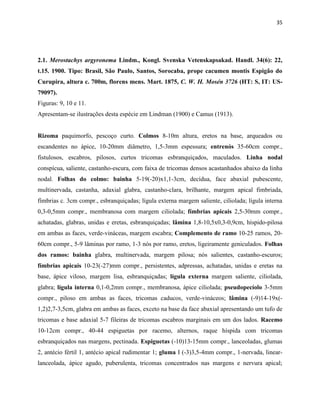35
2.1. Merostachys argyronema Lindm., Kongl. Svenska Vetenskapsakad. Handl. 34(6): 22,
t.15. 1900. Tipo: Brasil, São Paulo, Santos, Sorocaba, prope cacumen montis Espigão do
Curupira, altura c. 700m, florens mens. Mart. 1875, C. W. H. Mosén 3726 (HT: S, IT: US-
79097).
Figuras: 9, 10 e 11.
Apresentam-se ilustrações desta espécie em Lindman (1900) e Camus (1913).
Rizoma paquimorfo, pescoço curto. Colmos 8-10m altura, eretos na base, arqueados ou
escandentes no ápice, 10-20mm diâmetro, 1,5-3mm espessura; entrenós 35-60cm compr.,
fistulosos, escabros, pilosos, curtos tricomas esbranquiçados, maculados. Linha nodal
conspícua, saliente, castanho-escura, com faixa de tricomas densos acastanhados abaixo da linha
nodal. Folhas do colmo: bainha 5-19(-20)x1,1-3cm, decídua, face abaxial pubescente,
multinervada, castanha, adaxial glabra, castanho-clara, brilhante, margem apical fimbriada,
fímbrias c. 3cm compr., esbranquiçadas; lígula externa margem saliente, ciliolada; lígula interna
0,3-0,5mm compr., membranosa com margem ciliolada; fímbrias apicais 2,5-30mm compr.,
achatadas, glabras, unidas e eretas, esbranquiçadas; lâmina 1,8-10,5x0,3-0,9cm, híspido-pilosa
em ambas as faces, verde-vináceas, margem escabra; Complemento de ramo 10-25 ramos, 20-
60cm compr., 5-9 lâminas por ramo, 1-3 nós por ramo, eretos, ligeiramente geniculados. Folhas
dos ramos: bainha glabra, multinervada, margem pilosa; nós salientes, castanho-escuros;
fímbrias apicais 10-23(-27)mm compr., persistentes, adpressas, achatadas, unidas e eretas na
base, ápice viloso, margem lisa, esbranquiçadas; lígula externa margem saliente, ciliolada,
glabra; lígula interna 0,1-0,2mm compr., membranosa, ápice ciliolada; pseudopecíolo 3-5mm
compr., piloso em ambas as faces, tricomas caducos, verde-vináceos; lâmina (-9)14-19x(-
1,2)2,7-3,5cm, glabra em ambas as faces, exceto na base da face abaxial apresentando um tufo de
tricomas e base adaxial 5-7 fileiras de tricomas escabros marginais em um dos lados. Racemo
10-12cm compr., 40-44 espiguetas por racemo, alternos, raque híspida com tricomas
esbranquiçados nas margens, pectinada. Espiguetas (-10)13-15mm compr., lanceoladas, glumas
2, antécio fértil 1, antécio apical rudimentar 1; gluma I (-3)3,5-4mm compr., 1-nervada, linear-
lanceolada, ápice agudo, puberulenta, tricomas concentrados nas margens e nervura apical;
 