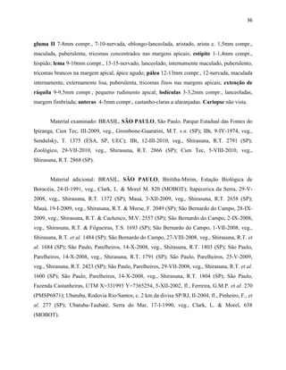 36
gluma II 7-8mm compr., 7-10-nervada, oblongo-lanceolada, aristado, arista c. 1,5mm compr.,
maculada, puberulenta, tricomas concentrados nas margens apicais; estípite 1-1,4mm compr.,
híspido; lema 9-10mm compr., 13-15-nervado, lanceolado, internamente maculado, puberulento,
tricomas brancos na margem apical, ápice agudo; pálea 12-13mm compr., 12-nervada, maculada
internamente, externamente lisa, puberulenta, tricomas finos nas margens apicais; extenção de
ráquila 9-9,5mm compr., pequeno rudimento apical; lodículas 3-3,2mm compr., lanceoladas,
margem fimbriada; anteras 4-5mm compr., castanho-claras a alaranjadas. Cariopse não vista.
Material examinado: BRASIL, SÃO PAULO, São Paulo, Parque Estadual das Fontes do
Ipiranga, Cien Tec, III-2009, veg., Grombone-Guaratini, M.T. s.n. (SP); IBt, 9-IV-1974, veg.,
Sendulsky, T. 1375 (ESA, SP, UEC); IBt, 12-III-2010, veg., Shirasuna, R.T. 2791 (SP);
Zoológico, 29-VII-2010, veg., Shirasuna, R.T. 2866 (SP); Cien Tec, 5-VIII-2010, veg.,
Shirasuna, R.T. 2868 (SP).
Material adicional: BRASIL, SÃO PAULO, Biritiba-Mirim, Estação Biológica de
Boracéia, 24-II-1991, veg., Clark, L. & Morel M. 820 (MOBOT); Itapecerica da Serra, 29-V-
2008, veg., Shirasuna, R.T. 1372 (SP); Mauá, 3-XII-2009, veg., Shirasuna, R.T. 2658 (SP);
Mauá, 19-I-2009, veg., Shirasuna, R.T. & Morse, F. 2049 (SP); São Bernardo do Campo, 28-IX-
2009, veg., Shirasuna, R.T. & Cachenco, M.V. 2557 (SP); São Bernardo do Campo, 2-IX-2008,
veg., Shirasuna, R.T. & Filgueiras, T.S. 1693 (SP); São Bernardo do Campo, 1-VII-2008, veg.,
Shirasuna, R.T. et al. 1484 (SP); São Bernardo do Campo, 27-VIII-2008, veg., Shirasuna, R.T. et
al. 1684 (SP); São Paulo, Parelheiros, 14-X-2008, veg., Shirasuna, R.T. 1803 (SP); São Paulo,
Parelheiros, 14-X-2008, veg., Shirasuna, R.T. 1791 (SP); São Paulo, Parelheiros, 25-V-2009,
veg., Shirasuna, R.T. 2423 (SP); São Paulo, Parelheiros, 29-VII-2008, veg., Shirasuna, R.T. et al.
1600 (SP); São Paulo, Parelheiros, 14-X-2008, veg., Shirasuna, R.T. 1804 (SP); São Paulo,
Fazenda Castanheiras, UTM X=331993 Y=7365254, 5-XII-2002, fl., Ferreira, G.M.P. et al. 270
(PMSP6871); Ubatuba, Rodovia Rio/Santos, c. 2 km da divisa SP/RJ, II-2004, fl., Pinheiro, F., et
al. 277 (SP); Ubatuba-Taubaté, Serra do Mar, 17-I-1990, veg., Clark, L. & Morel, 638
(MOBOT).
 
