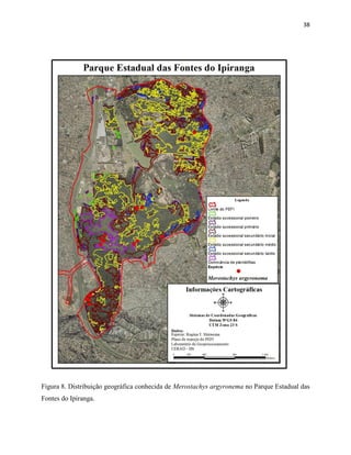 38
Figura 8. Distribuição geográfica conhecida de Merostachys argyronema no Parque Estadual das
Fontes do Ipiranga.
 
