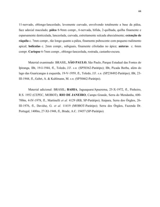44
11-nervado, oblongo-lanceolado, levemente curvado, envolvendo totalmente a base da pálea,
face adaxial maculado; pálea 8-9mm compr., 6-nervada, bífida, 2-quilhada, quilha finamente e
esparsamente denticulada, lanceolada, curvada, estreitamente sulcada abaxialmente; extenção de
ráquila c. 7mm compr., tão longo quanto a pálea, finamente pubescente com pequeno rudimento
apical; lodículas c. 2mm compr., subiguais, finamente cilioladas no ápice; anteras c. 6mm
compr. Cariopse 6-7mm compr., oblongo-lanceolada, rostrada, castanho-escura.
Material examinado: BRASIL, SÃO PAULO, São Paulo, Parque Estadual das Fontes do
Ipiranga, IBt, 19-I-1944, fl., Toledo, J.F. s.n. (SP50362-Parátipo); IBt, Picada Borba, além do
lago das Guaricangas à esquerda, 19-V-1959, fl., Toledo, J.F. s.n. (SP238492-Parátipo); IBt, 23-
III-1944, fl., Gehrt, A. & Kuhlmann, M. s.n. (SP50462-Parátipo).
Material adicional: BRASIL; BAHIA, Jaguaquara/Apuerema, 25-X-1972, fl., Pinheiro,
R.S. 1952 (CEPEC, MOBOT); RIO DE JANEIRO, Campo Grande, Serra do Mendanha, 600-
700m, 4-IV-1978, fl., Martinelli et al. 4129 (RB, SP-Parátipo); Itaipara, Serra dos Órgãos, 26-
III-1976, fl., Davidse, G. et al. 11419 (MOBOT-Parátipo); Serra dos Órgãos, Fazenda Dr.
Portugal, 1400m, 27-XI-1948, fl., Brade, A.C. 19457 (SP-Parátipo).
 