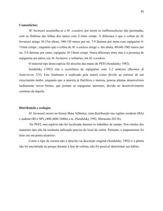 45
Comentários:
M. burmanii assemelha-se a M. scandens por terem as sinflorescências não pectinadas,
com as fímbrias das folhas dos ramos com 2-3mm compr. A diferença é que o colmo de M.
burmanii atinge 10-15m altura, 100-130 ramos por nó, 7-9 lâminas por ramo com espiguetas 8-
11mm compr., enquanto que o colmo de M. scandens atinge c. 6m altura, 40-60(-100) ramos por
nó, 5-6 lâminas por ramo, espigueta 10-14mm compr. Outra diferença entre elas é a presença de
espiguetas aos pares, em M. burmanii, e solitárias, em M. scandens.
O material tipo desta espécie foi descrito das matas do PEFI (Sendulsky 1992).
Sendulsky (1992) cita a ocorrência de espiguetas com 2-3 antécios (Burman &
Soderstrom 525). Este fenômeno é explicado pela autora como devido ao estresse de um
crescimento tardio, enquanto que a maioria já frutificou e morreu, poucas plantas desenvolvem
tardiamente novos brotos, que portam as espiguetas anormais, devido ao desenvolvimento
contínuo da ráquila.
Distribuição e ecologia:
M. burmanii ocorre no bioma Mata Atlântica, com distribuição nas regiões nordeste (BA)
e sudeste (RJ e SP), (400-)600-1600m.s.m. (Sendulsky 1992, Shirasuna 2011b).
No PEFI, esta espécie não foi localizada durante os trabalhos de campo. Nos rótulos dos
materiais tipo não há nenhuma indicação precisa do local de coleta. Portanto, o mapeamento foi
feito em um ponto aleatório.
Como o tipo de rizoma não é descrito na descrição original (Sendulsky 1992) e a planta
não foi encontrada no parque durante a fase de coletas, não foi possível determinar seu hábito.
 