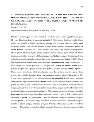 51
2.3. Merostachys magellanica Send. Novon 5(1): 86, f. 6. 1995. Tipo: Brasil, São Paulo:
Municipio Anhembi, Fazenda Barreiro Rico, 22.40’S, 48.09’W, 510m, 11 Jan. 1988 (fr),
Reis de Magalhães s.n. (HT: SP-248339!; IT: BLA, BR, IBGE, ICN, K, MO, NY, P, R, RB,
UEC, US, W, WIS).
Figuras: 17, 18 e 19.
Apresenta-se ilustração desta espécie em Sendulsky (1995).
Rizoma paquimorfo, pescoço curto. Colmos 6-13m altura, eretos na base e pendentes no ápice,
12-14mm diâmetro, c. 2mm de espessura; entrenós 60-80cm compr., fistulosos, porção inferior
glabro com máculas e faixas esverdeadas, superior com tricomas escabros. Linha nodal
horizontal, saliente, com faixa de tricomas acima e abaixo, densos, lanuginosos. Folhas do
colmo: bainha 25-30(-36)x5-7(12,8)cm, decídua, face abaxial com tricomas esbranquiçados,
adaxial glabra, brilhante; lígula externa margem saliente, híspida; lígula interna 0,5-0,9mm
compr., membranácea com ápice ciliolado; margem lisa; fímbrias apicais 5-6mm compr., livres,
onduladas e castanho-douradas no ápice, base eretas e esbranquiçadas; lâmina 5-12x0,9-1,8cm,
face adaxial híspida, abaxial glabra, margem escabra. Complemento de ramo 12-130 ramos, 15-
65cm compr., 4-7 lâminas por ramo, 2-3 nós por ramo. Folhas dos ramos: bainha glabra,
estriada, margem lisa a pouco ciliolada; nós glabros, castanho-escuros; fímbrias apicais 3-
10mm compr., persistentes, cilíndrico-achatadas, livres, base eretas e antrorso-escabras, ápice
crespo e liso, castanho-douradas; lígula externa pequena margem saliente; lígula interna 0,2-
0,5mm compr., membranácea com margem ciliolada; pseudopecíolo 4-5mm compr., ambas as
faces glabras a esparsamente híspidas; lâmina 8-17x1,5-2cm, linear-lanceoladas, glabras a sub-
glabras em ambas as faces, sem um tufo de tricomas na base da face abaxial, exceto em uma das
margens, adaxial, basal com 2-8 fileiras de tricomas escabros, margem escabra. Racemo 6-18cm
compr., aberta com as espiguetas expandidas, 36-40 espiguetas por racemo, alternas, pectinadas.
Espiguetas 11-14mm compr., lanceoladas, estrigosas, glumas 2, antécio fétil 1, antécio apical
rudimentar 1; gluma I 3-3,5mm compr., 1-nervada, maculada, tringular, curtamente estrigosa,
vinácea; gluma II 5,5-7,5mm compr., 9-nervada, maculada, lanceolada, curtamente estigosa;
estípite c. 2,5mm compr., finamente estrigoso, tricomas esbranquiçados; lema 10-11,5mm
compr., 14-15-nervado, oblongo-lanceolado, maculado, finamente estrigoso, margem ciliada;
 