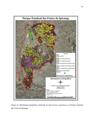 54
Figura 16. Distribuição geográfica conhecida de Merostachys magellanica no Parque Estadual
das Fontes do Ipiranga.
 