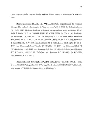 68
compr.oval-lanceoladas, margem inteira; anteras 6-9mm compr., acastanhadas Cariopse não
vista.
Material examinado: BRASIL, SÃO PAULO, São Paulo, Parque Estadual das Fontes do
Ipiranga, IBt, Jardim Botânico, perto da "área em estudo", 18-III-1960, fl., Borba, J.A.F. s.n.
(SP153835, SPF); IBt, Perto do abrigo na beira da estrada, defronte a área de estudos, 25-XI-
1959, fl., Borba, J.A.F. s.n. (MOBOT, PMSP, SP 367908, SPSF); IBt, XI-1991, fl., Sendulsky,
s.n. (SP367909, SPF); IBt, 12-XII-1971, fl., Sendulsky, T. s.n. (MOBOT, PMSP, SP367910,
SPF, SPSF); IBt, 4-XI-1958, fl., J.B.S.P. s.n. (SP367903, SPF); IBt, 13-V-1974, veg., Sendulsky,
T. 1399 (SP); IBt, 6-IV-1948, veg., Kuhlmann, M. & Kuhn, E. s.n. (SP367920); IBt, 30-XI-
2005, veg., Shirasuna, R.T. & Vitta, F. 127 (SP); IBt, 18-II-2009, veg., Shirasuna, R.T. 2172
(SP); Zoológico, 29-VII-2010, veg., Shirasuna, R.T. 2865 (SP); IBt, 21-X-2008, veg., Shirasuna,
R.T. & Costa, A. 1811 (SP); IBt, 22-X-2009, veg., Shirasuna, R.T. 2610 (SP); IBt, 4-XI-2009,
veg., Shirasuna, R.T. 2619 (SP).
Material adicional: BRASIL; SÃO PAULO, Embu, Parque Tizo, 31-III-2008, fl., Honda,
S. et al. 486 (PMSP); Juquitiba, 8-III-1976, veg., Davidse.G. et al. 10929 (MOBOT); São Paulo,
sítio Jararaú, 1-VII-2009, fl., Marçon S.L. et al. 179 (PMSP).
 