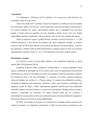 77
Comentários:
As semelhanças e diferenças de M. riedeliana e M. argyronema estão descritas nos
comentários sobre M. argyronema.
Através do estudo de M. riedeliana, foi possível registrar a ocorrência de um novo padrão
de rizoma para o gênero Merostachys: rizoma paquimorfo com pescoço-longo (“long-necked”).
Os rizomas alcançam 1m compr., apresentando catafilos que se sobrepõem uns aos outros
quando o rizoma cresce na superfície do solo, chegando a formar curvas. Esse novo padrão
impõe hábito alastrante à população e não em touceira, como ocorre com a maioria das epécies.
Todos os espécimes seguem o padrão descrito, somente a exsicata Danciguer, L. s.n. (SP
367904) apresentou a face abaxial das lâminas dos ramos totalmente híspidas, as demais,
inclusive todas do PEFI, apresentaram a face abaxial das lâminas dos ramos glabras. A maioria
dos espécimes e também todos do PEFI apresentaram a margem apical do lema com tricomas
esbranquiçados, somente Cordeiro, I. et al. 1839 apresentou os tricomas castanho-escuros.
Distribuição e ecologia:
M. riedeliana ocorre no bioma Mata Atlântica, com distribuição conhecida na região
sudeste (MG, SP) (Shirasuna 2011b).
Guilherme & Ressel (2001) estudaram a biologia floral e o sistema reprodutivo desta
espécie, ressaltando a interrupção de novos colmos meses antes do aparecimento das primeiras
sinflorescências, com picos de floração nos meses mais quentes e chuvosos (dezembro e janeiro),
com duração de dois a três anos (Sendulsky, T. com.pess.). Os autores apontam frequentes
visitas por abelhas Apis mellifera L. e Trigona spinipes F., atuando como pilhadores de pólen e
auxiliando na dispersão com movimentos vibratórios. Ainda, vários caracteres morfológicos das
espiguetas, queda de folhas e hábito espacialmente agrupado apontam para uma polinização
anemófila, embora a alta pluviosidade e a escassez de vento durante a floração massiva tendam a
diminuir a efetividade da anemofilia. Os autores afirmam ainda que M. riedeliana é
autocompatível, o que poderia resultar em investimentos para a elevada produção de espiguetas e
formação de frutos provenientes da autocompatibilidade.
No PEFI, foi coletada em 19 pontos. M. riedeliana foi encontrada somente na parte norte-
nordeste do parque, nos fragmentos pertencentes ao IBt. Em sua maioria concentrou-se nos
 