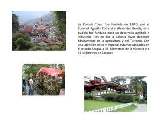 Alexander Benitz RegióN Capital (Aragua Y Carabobo) | PPT