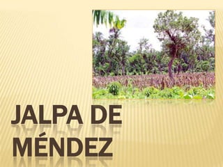 JALPA DE
MÉNDEZ
 
